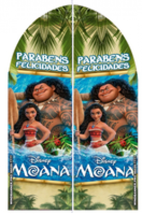 Wind Banner Moana 2
