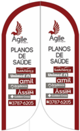 Wind Flags  Agile Seguros