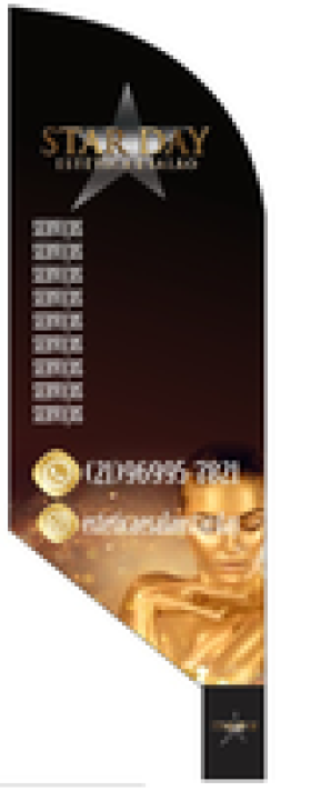 Wind Banner Para Estética e Salão Star Day