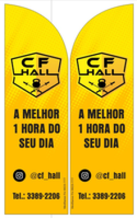 Wind Banner CF Hall Academia