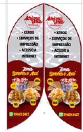 Wind Banner Adriana Veras Provençais